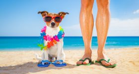 Labor Day: Why Taking Time Off is So Important