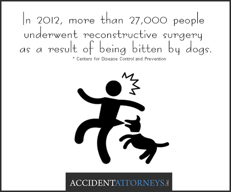 In 2012, more than 27,000 people underwent reconstructive surgery as a result of being butten by dogs.