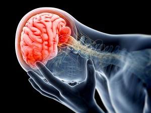 Brain Injury Linked to Road Rage