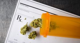 Marijuana Could Help Relieve Pain Following a Car Accident