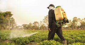 Exposure to Toxic Chemicals